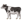 Animal Cow2